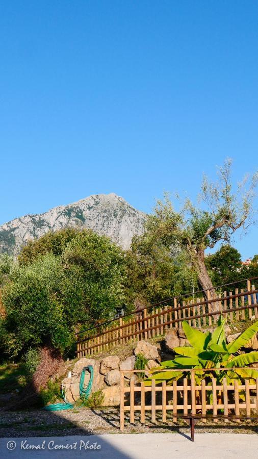 Al Boschetto Apartment Scario Bagian luar foto